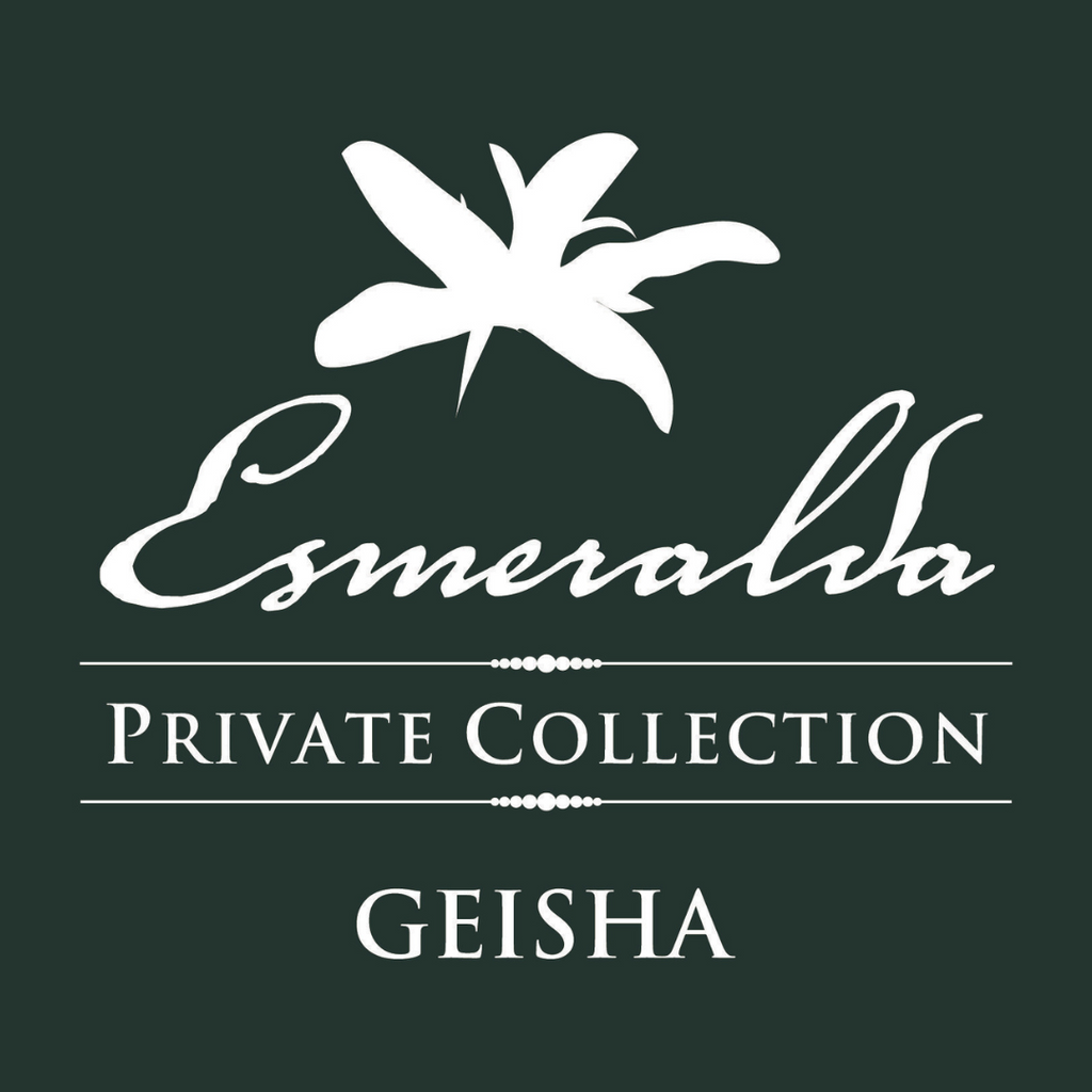 Panama - Esmeralda Private Collection - Velo Washed Geisha