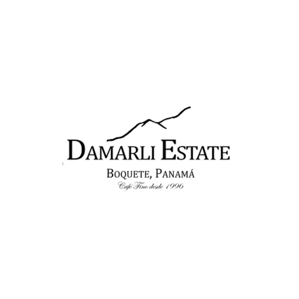 Panama - Damarli Estate Green Tip Geisha - Noble Natural